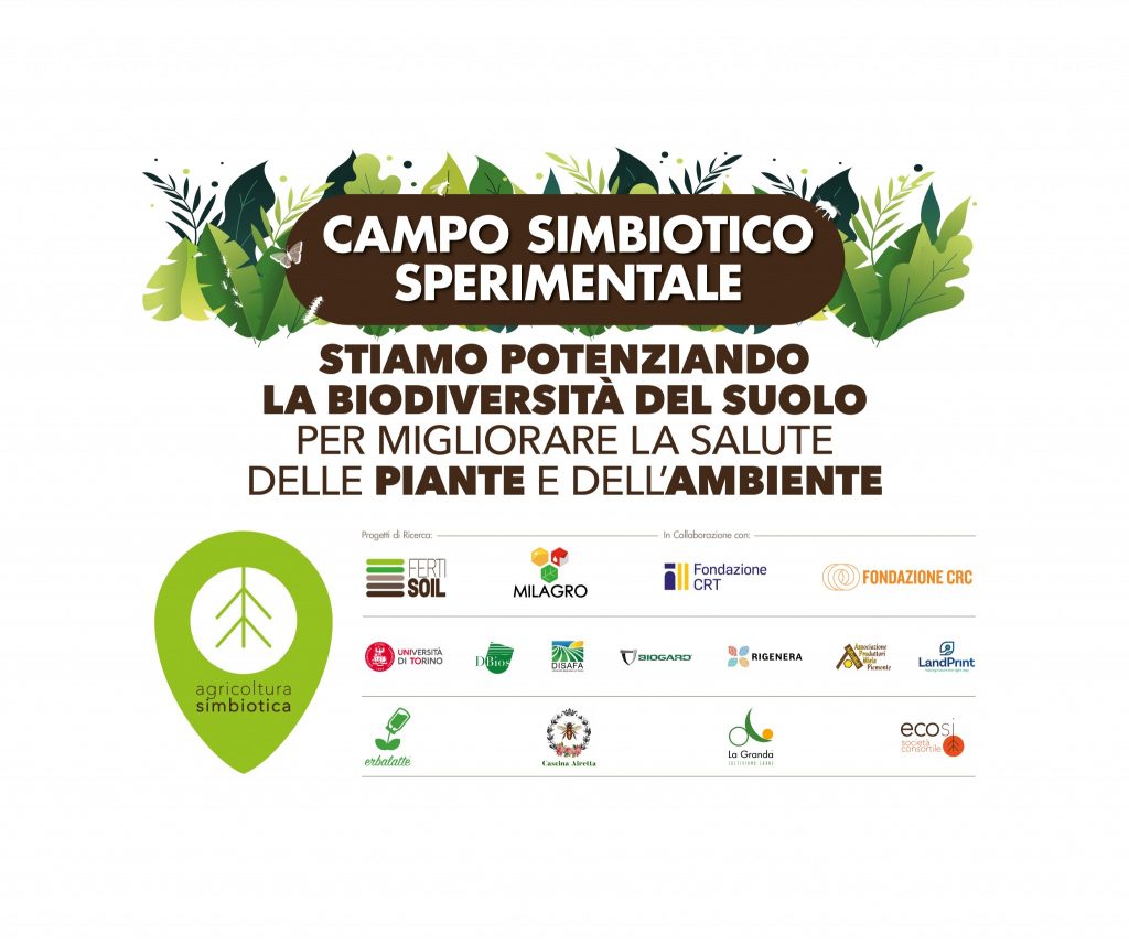 Campo Simbiotico Sperimentale