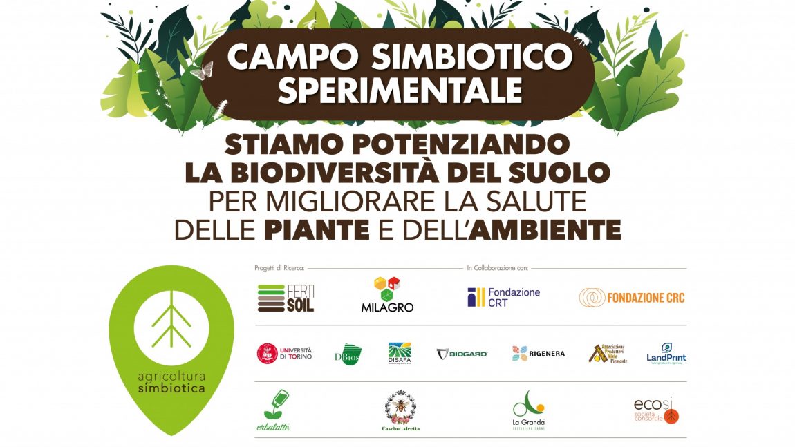 CAMPO SIMBIOTICO SPERIMENTALE